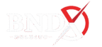bndx.global